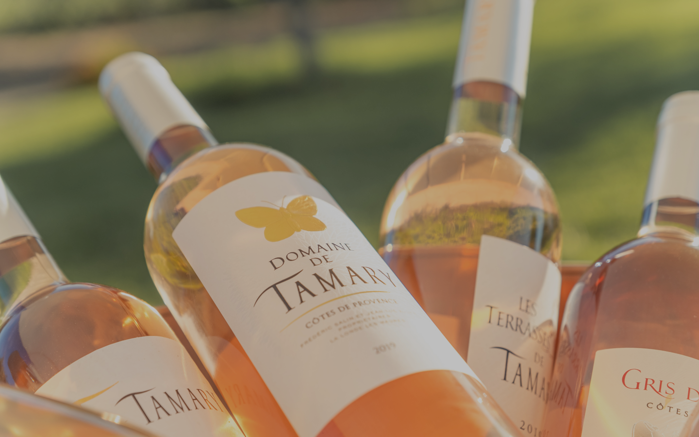 Domaine de Tamary, Vins rosés en Côtes de Provence à La Londe les Maures